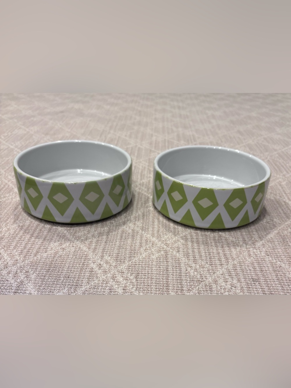 Pair of Ceramic Dog Dishes in Lime and White